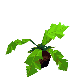 pant